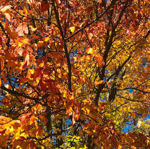 Meet your Posher, Meral